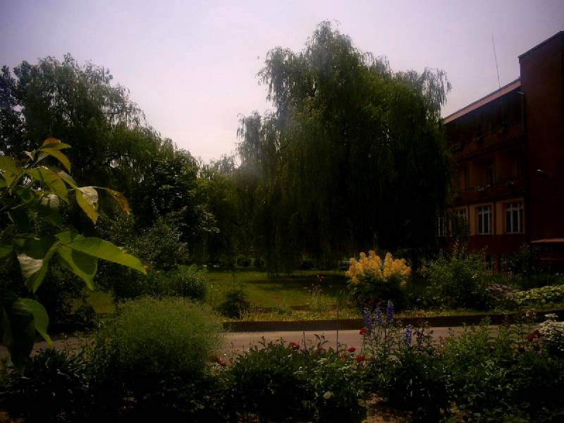 Zdjęcie główne