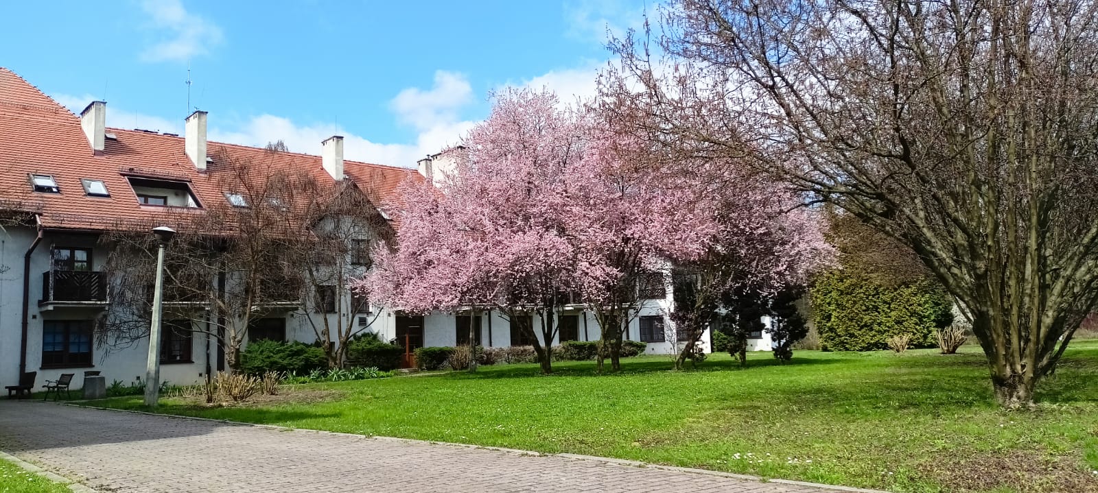 ZDJĘCIE GŁÓWNE PLACÓWKI